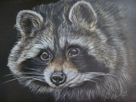 Commission a drawing of your beloved pet