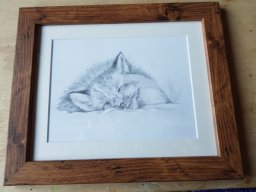 Black and white animal drawings