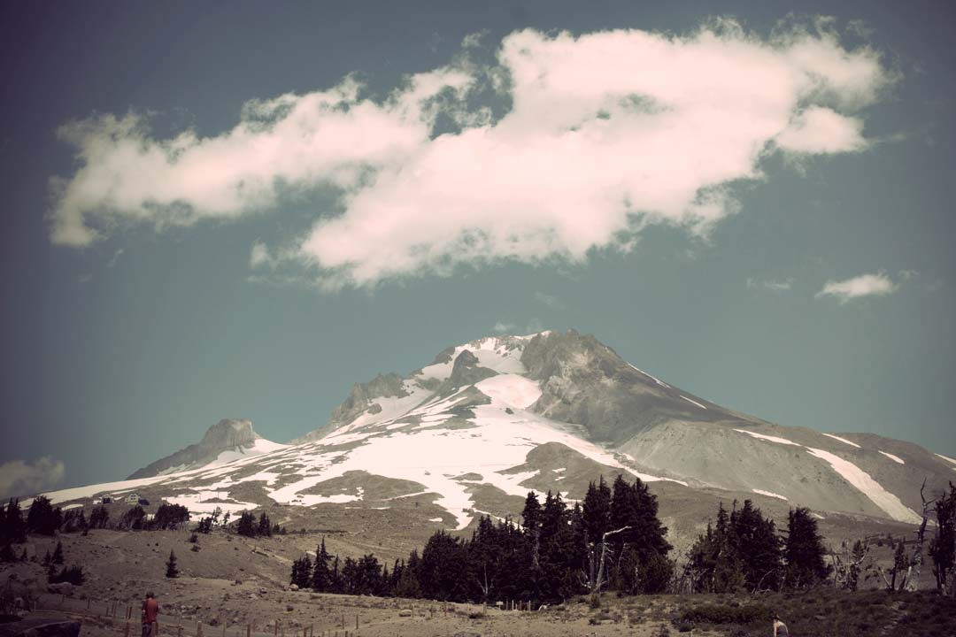 I have a number of my own digital designs on Spreadshirt so you can order your own custom items with my designs.